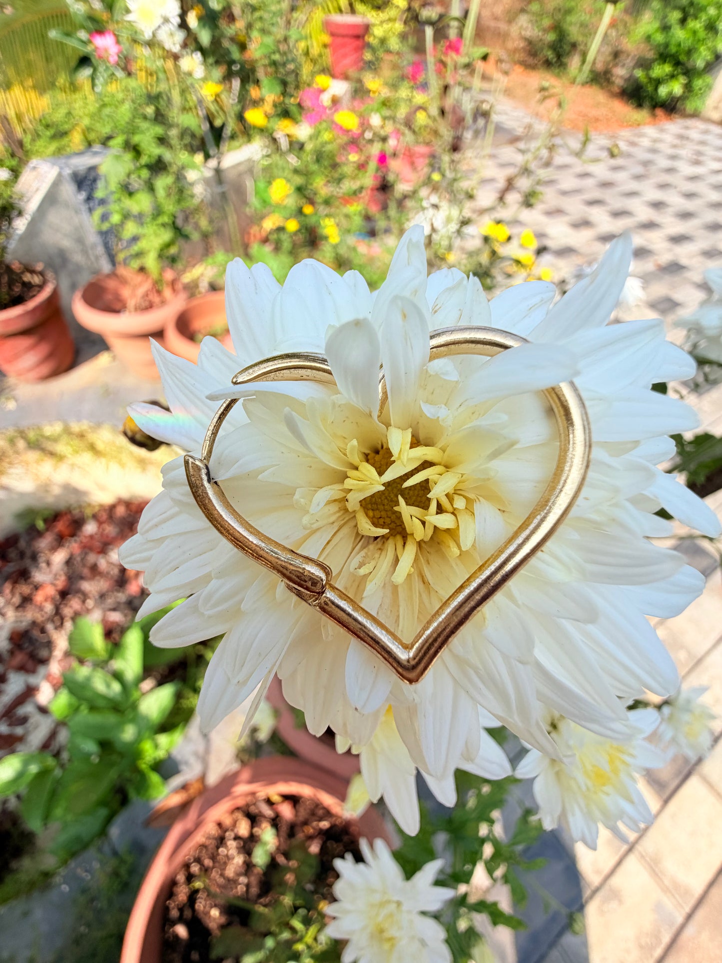 Heart Shaped Hoops Earring